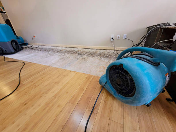 Professional Water Damage Repair technician working in Newport Beach, CA